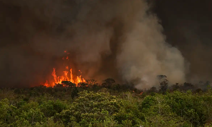 Queimadas atingiram 30 milhões de hectares no país em 2024