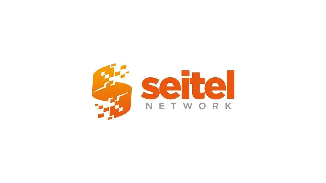 SEITEL NETWORK