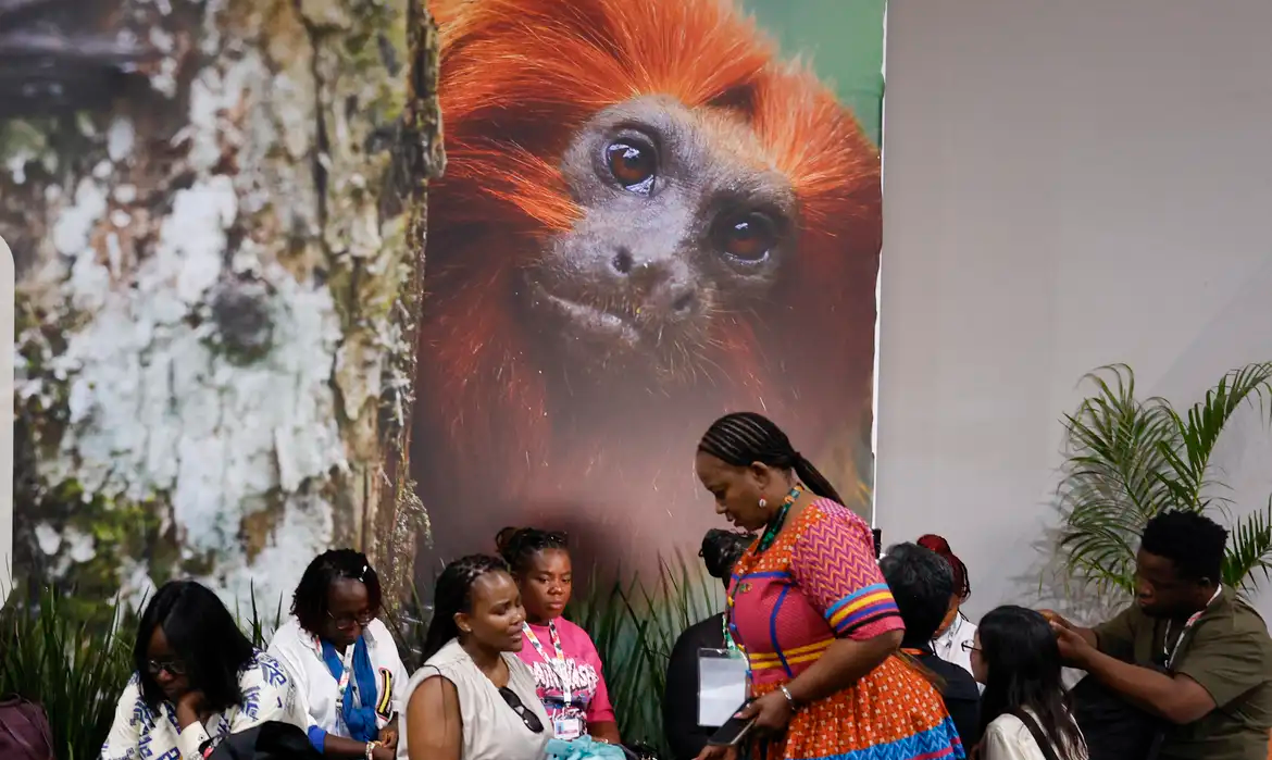 COP30: financiamento, transição e adaptação são centro das negociações